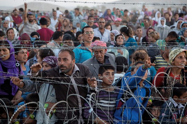 Syrian/European Refugee Resettlement Program